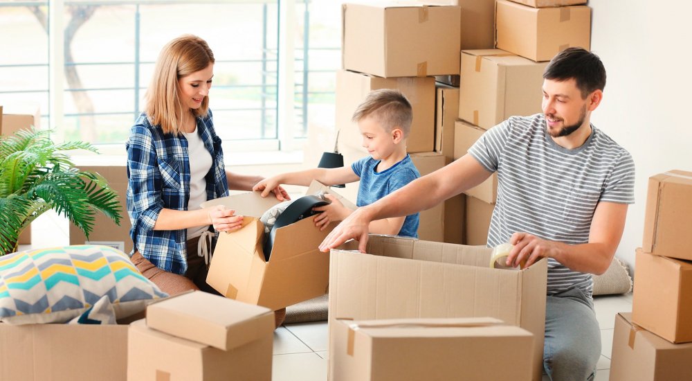 Ambalajlı ve Paketlemeli Nakliyat